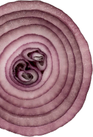 onion