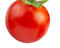 tomato_2
